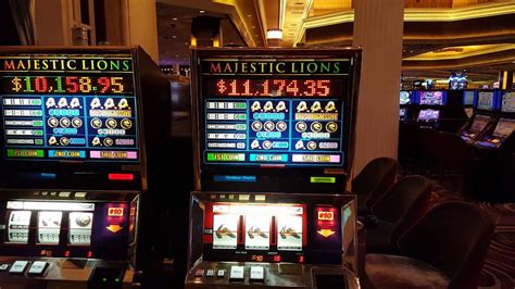 Majestic lion slot machine